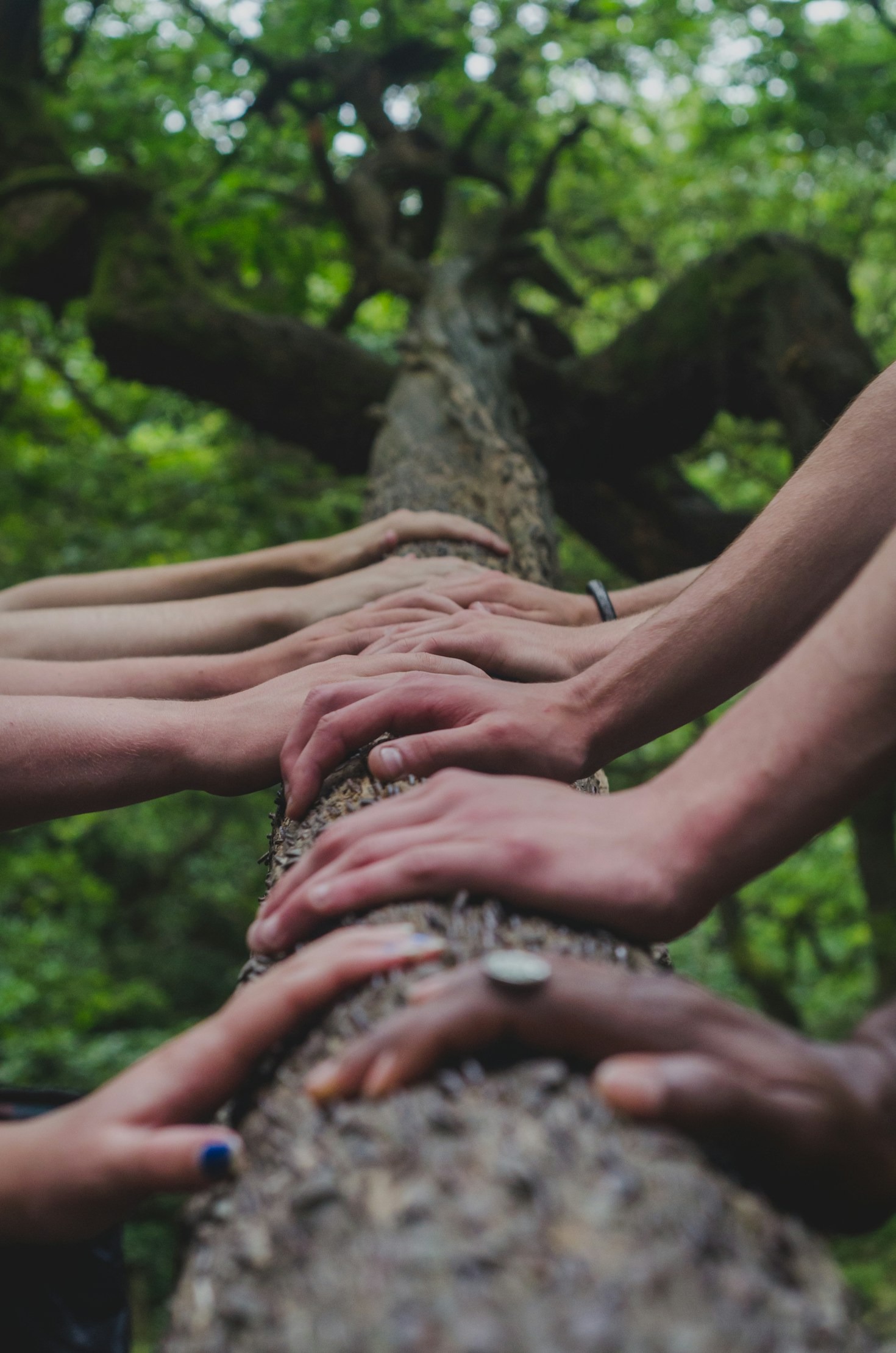 How Permaculture Design Can Transform Communities